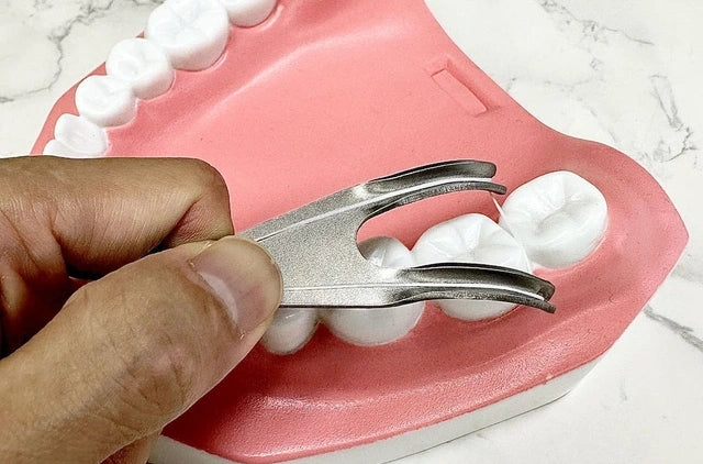 小型でさらに磨きやすく。歯の状態に合わせて最適なフロス糸に。フロス交換ハンドル２