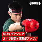 BOXHERO ハンチングボール2個