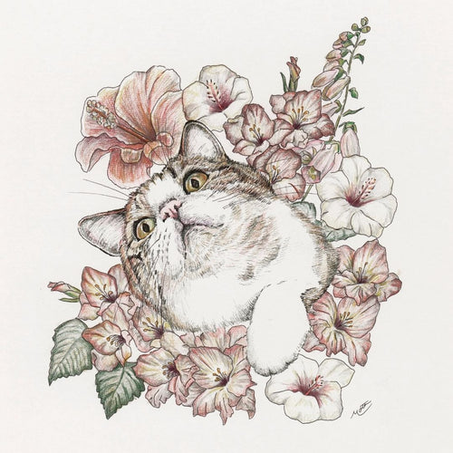 もと　ＡＲＴノート