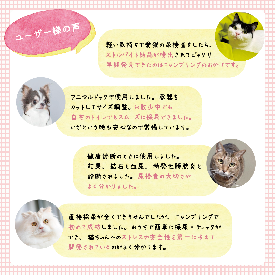 【尿提出用スポイト・ｐH試験紙付き】いぬ・ねこ用おしっこチェックセット nyanpling