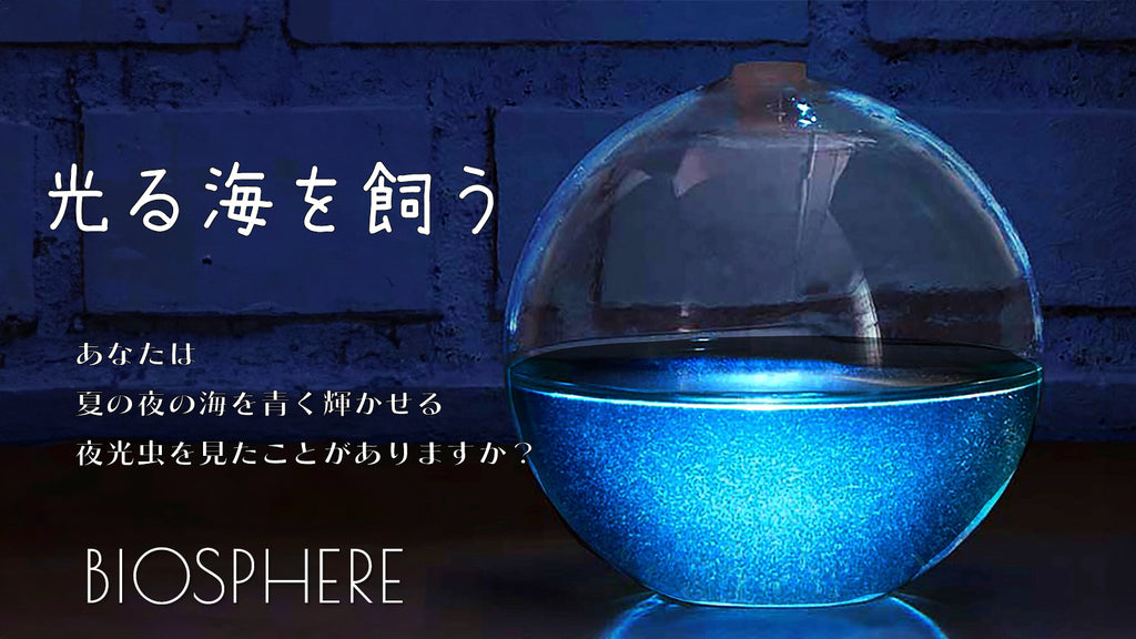光る海 [DVD] 9jupf8b 【公式通販】