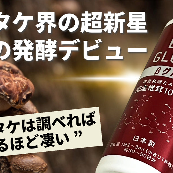 椎茸 楽天市場】自然の味そのまんま 静岡育ちの原木椎茸どんこ［30g