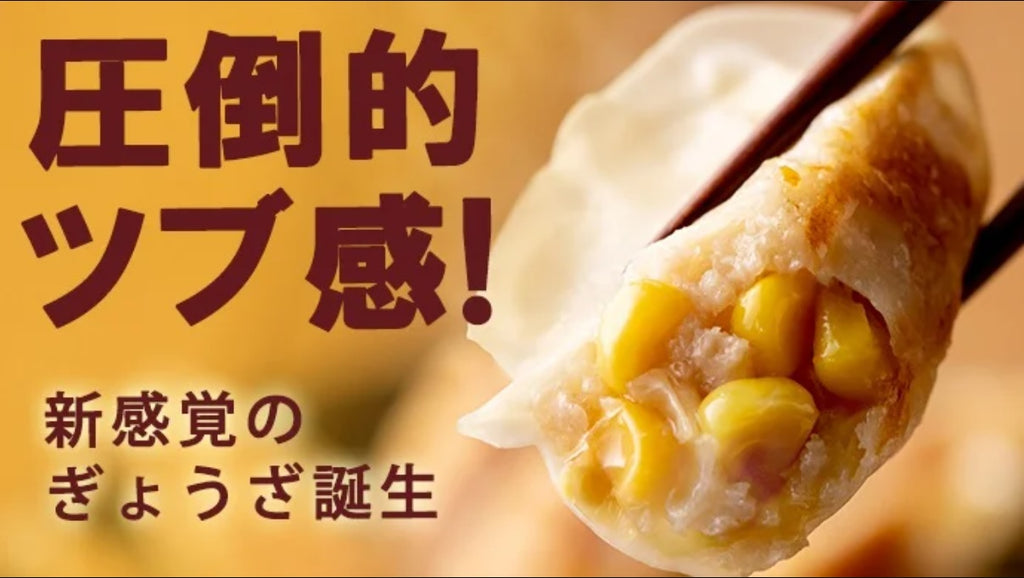 餃子プリンス フーディ】スケボーGYOZA｜すべての商品｜TOCHIGI.MARKET