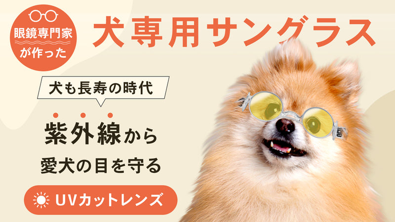 UVカットレンズ採用！犬専用に設計されたサングラス。daengs_eye