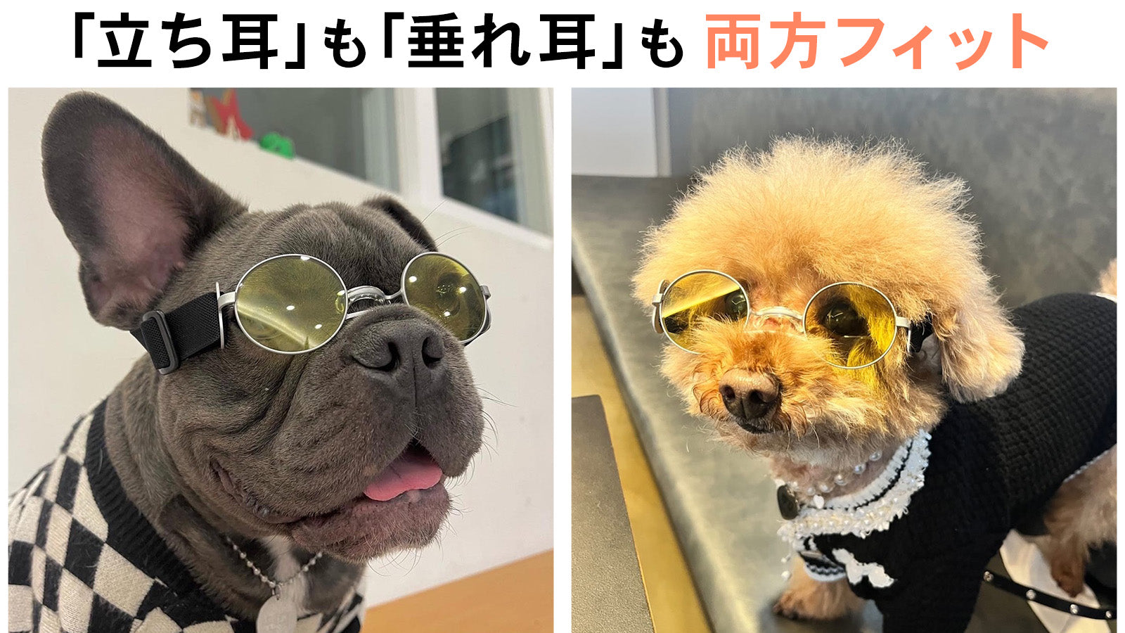 UVカットレンズ採用！犬専用に設計されたサングラス。daengs_eye