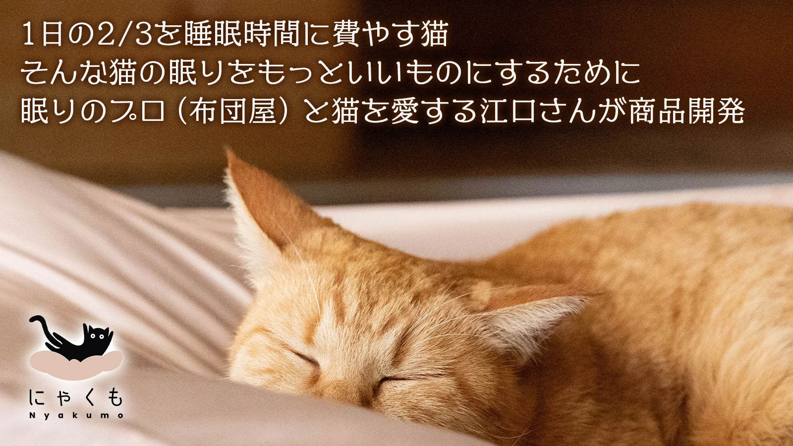 にゃくも 猫雲 猫用ハンモック 猫 犬 洗える 組み立て ペット ハンモック ベッド