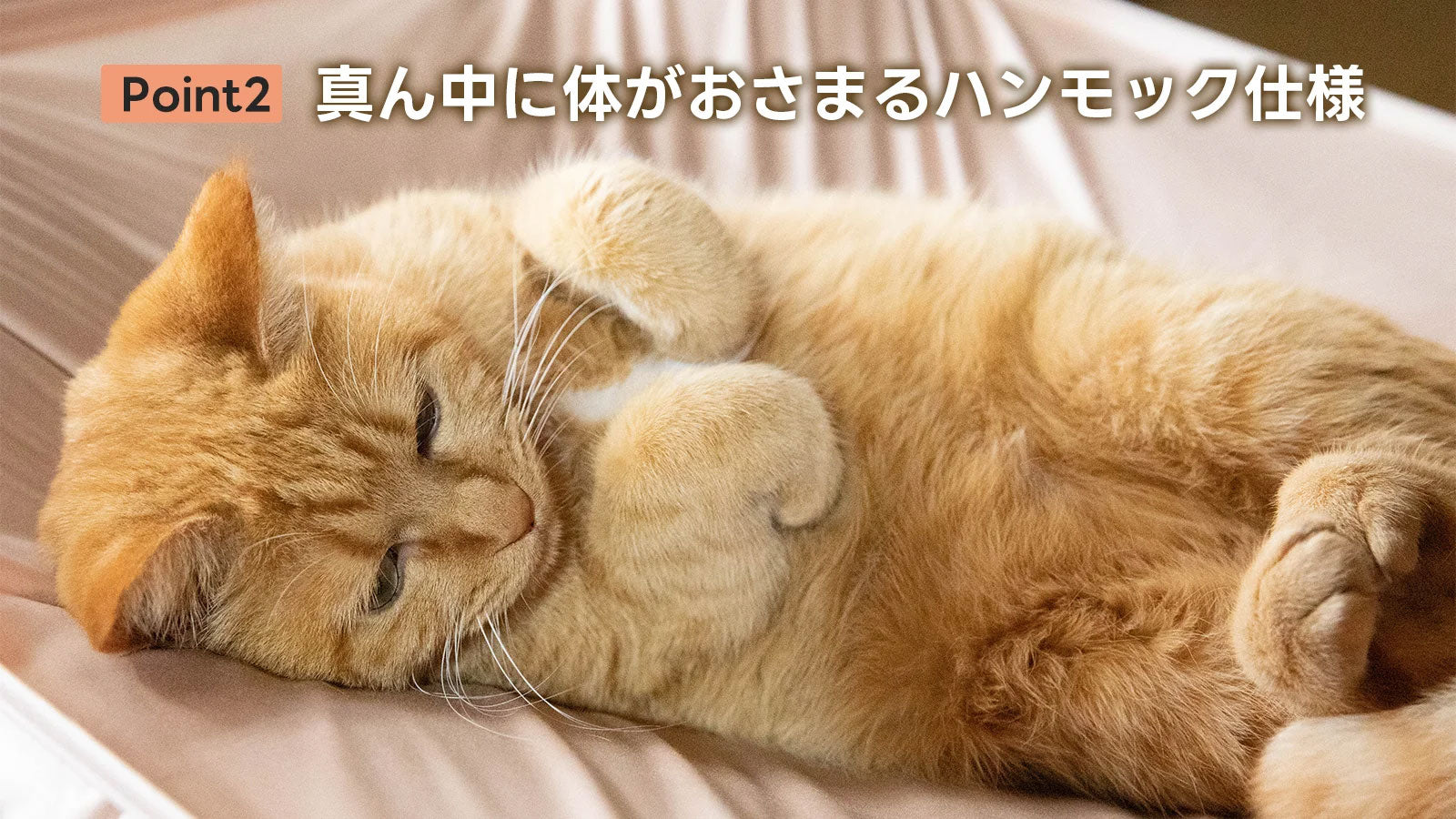 にゃくも 猫雲 猫用ハンモック 【連結セット】 猫 洗える 組み立て ペット ハンモック ベッド