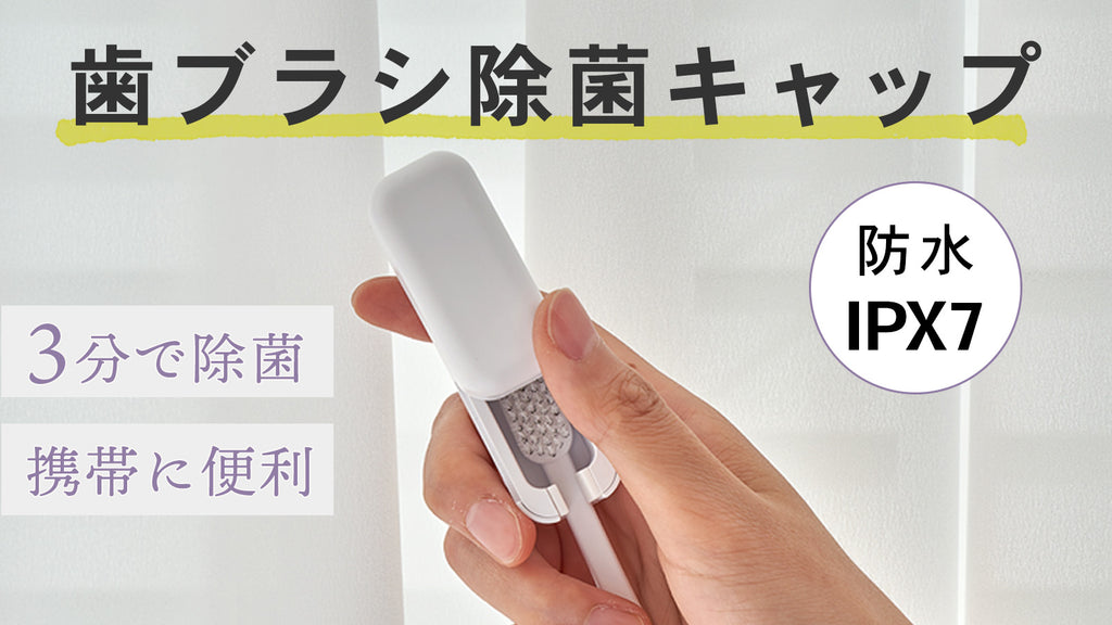 1733445636639_e899bf20-e48b-