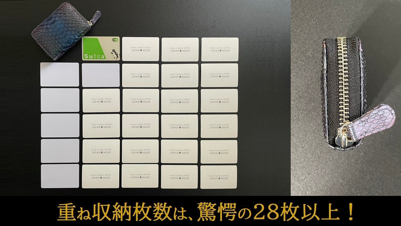 2025年巳年…パイソン虹染＆藍染-カードケース-