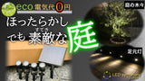 ＬＥＤシンフォニースマート ２箱セット【電気代0円】太陽光で10時間点灯、夜間自動点灯つきスポットライト型LEDライト