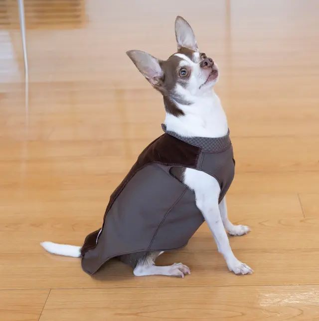 テラペット　ぬくぬくウエア