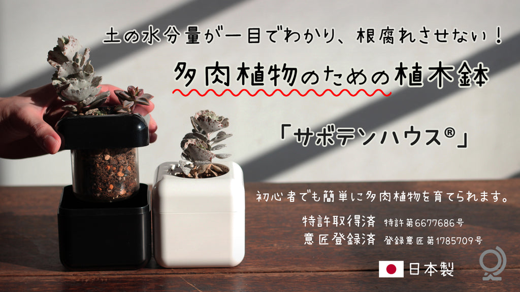 特許取得】根腐れ防止！多肉植物専用の室内用植木鉢「サボテンハウス