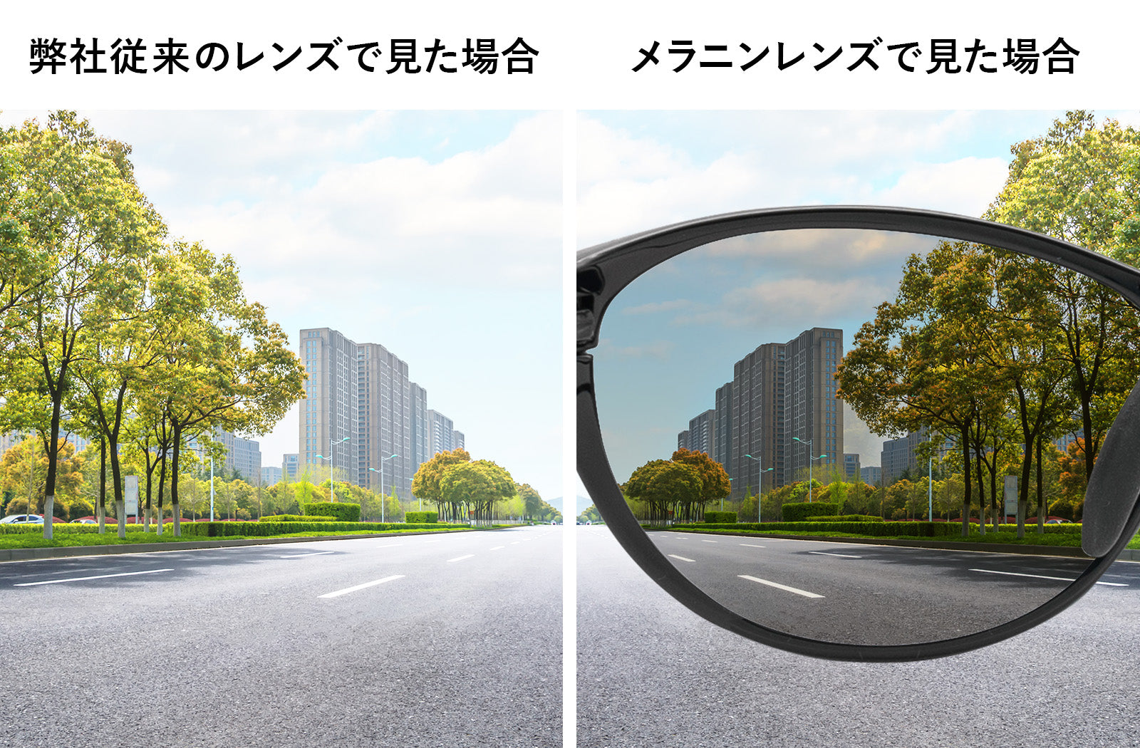 紫外線を徹底対策！目と肌にやさしいメラニン偏光レンズのアイケアスポーツサングラス　EF-S209M