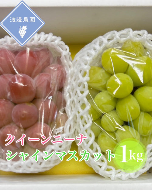 クイーンニーナ＆シャインマスカット
