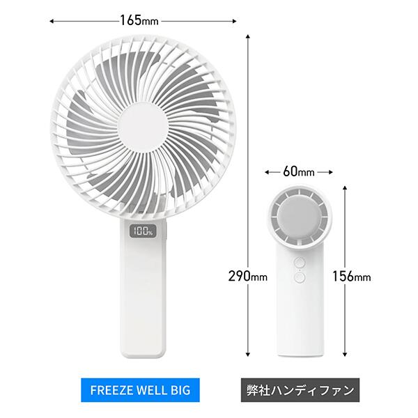 フリーズウェルビッグ
