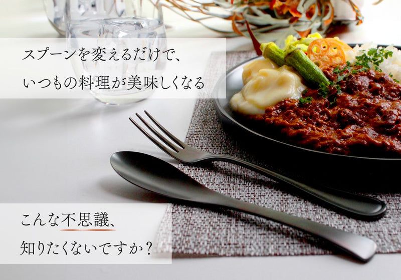 【黒艶ｘ機能性】 ずっと美味しい！元のスプーンに戻れない ｜パーフェクトスプーン カトラリー2セット