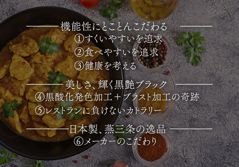 【黒艶ｘ機能性】 ずっと美味しい！元のスプーンに戻れない ｜パーフェクトスプーン カトラリー2セット
