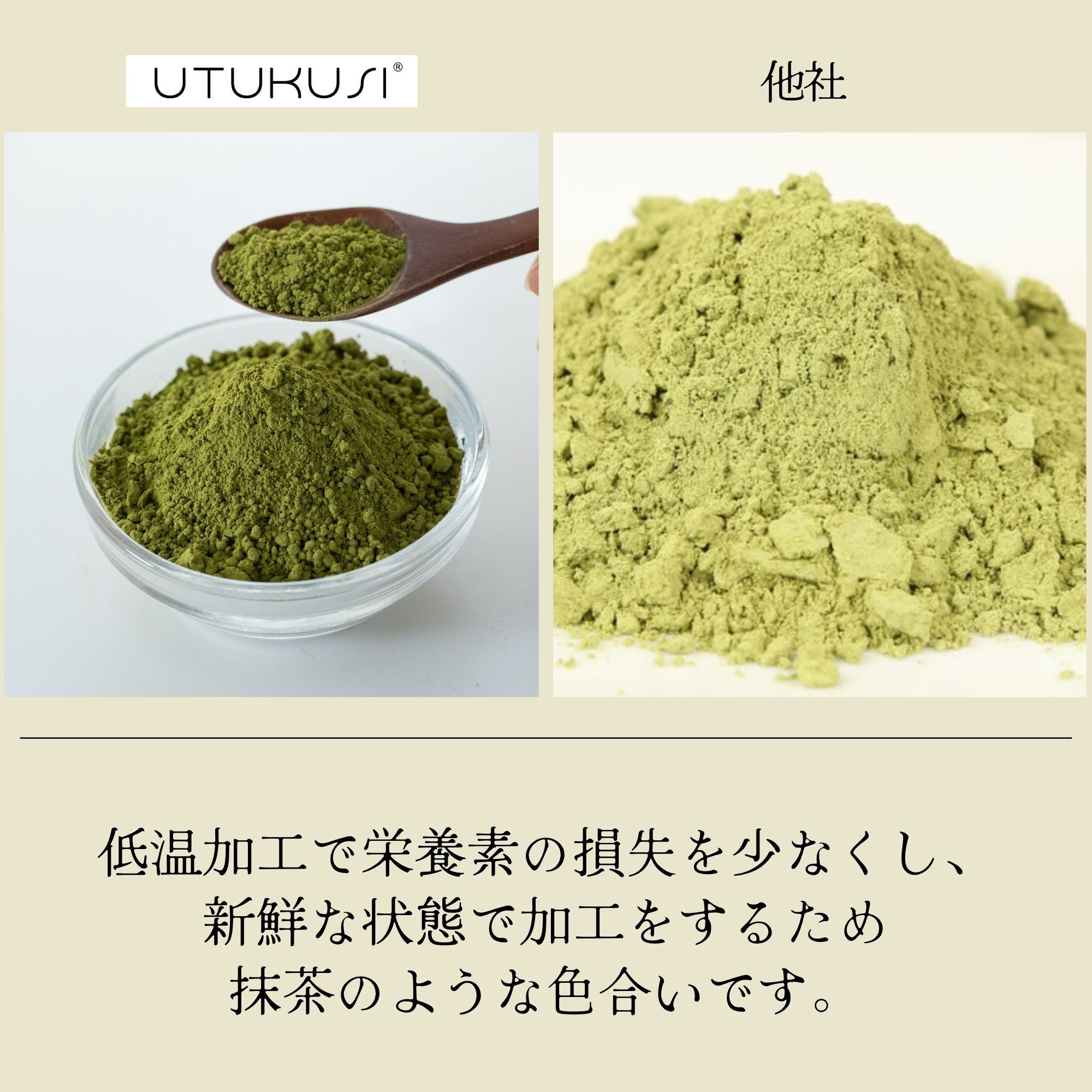 【1ヶ月分】有機JAS認証UTUKUSI®モリンガステックパウダー1g×31本