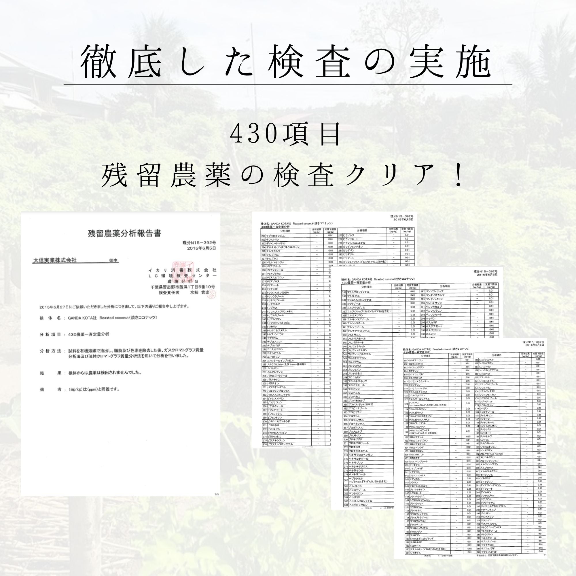 【1ヶ月分】有機JAS認証UTUKUSI®モリンガステックパウダー1g×31本