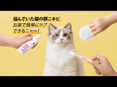 【JAYUPET】医師、韓医師、獣医師が共同開発した、お家で簡単にできる猫のニキビケア３種セット！