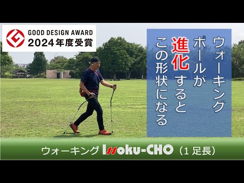 ウォーキングIssoku-CHO（１足長）ネイビーブルー