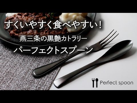 【黒艶ｘ機能性】 ずっと美味しい！元のスプーンに戻れない ｜パーフェクトスプーン カトラリー2セット