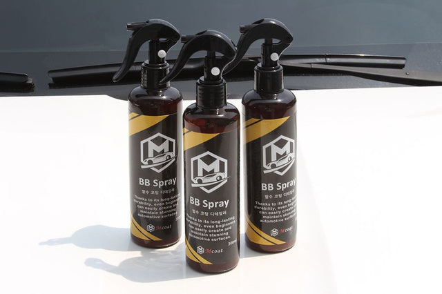 BB SPRAY（300ML）× １本