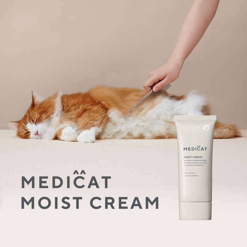 MOIST CREAM　60g