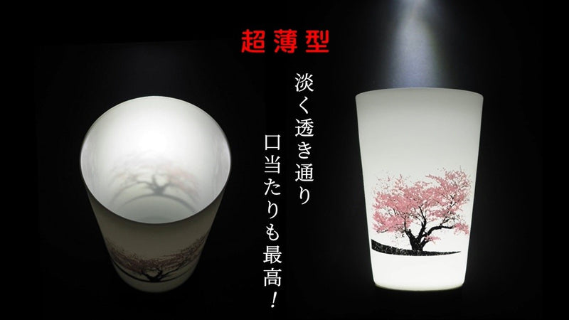 【有田焼】冷水を注ぐとダブル満開桜、超薄型磁器パールシェルグラスのタンブラー