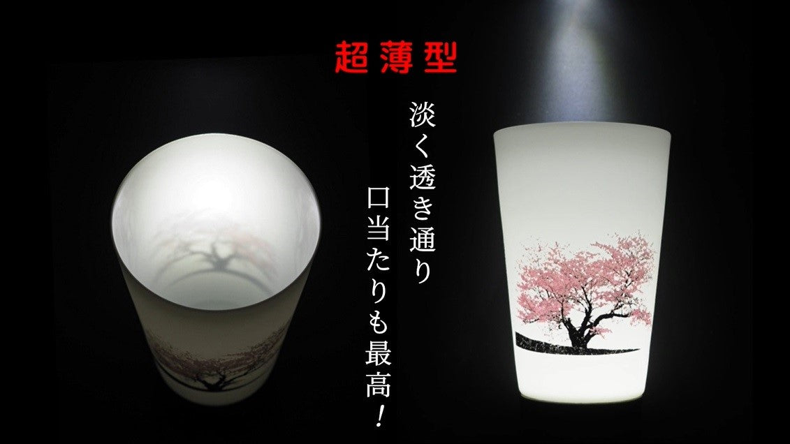 【有田焼】冷水を注ぐとダブル満開桜、超薄型磁器パールシェルグラスのロックグラス