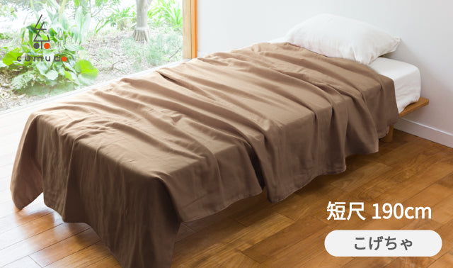 【短尺190cm こげちゃ】クムコ 8重織ガーゼ毛布