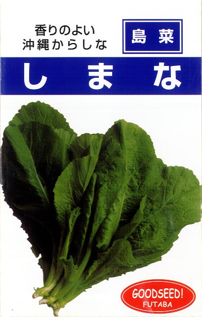 【野菜ソムリエレシピ付き】沖縄野菜シマナの種