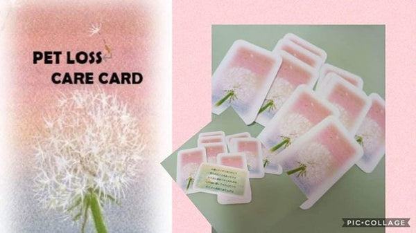 product_11849_10108_600x600_cr