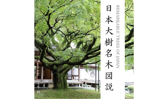 書籍『日本大樹名木図説』