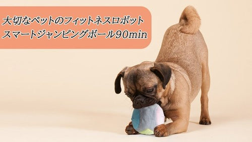 【タイムセール3,480円→2,980円】ヘミルペット スマートジャンピングボール ペット犬猫のおもちゃ 電動ボール