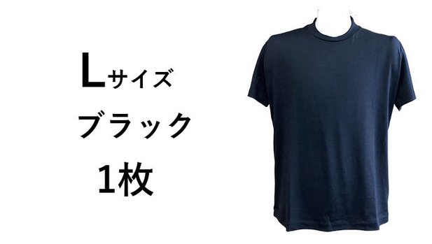 【L・ブラック】オールシーズン快適なウール、着心地を追求したパターンメイドＴシャツ