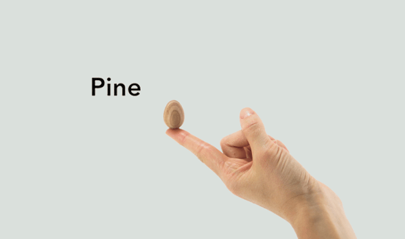 Thinking Egg（Pine）