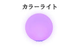 カラーライト1個